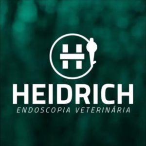 endoscopista veterinario itajai suzana heidrich 300x300