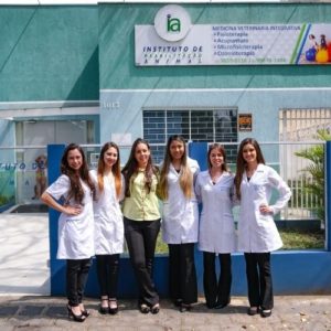 fisioterapeuta veterinaria curitiba mhayara reusing3 300x300