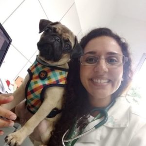 medica veterinaria clinica geral veterinaria curitiba carolina barbosa machado3 300x300