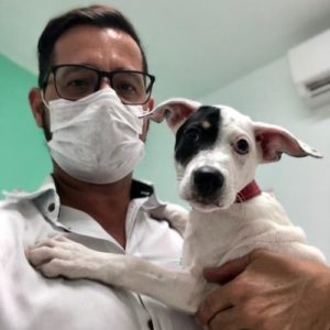 veterinario alagoas adelson leite nunes junior 2 300x300