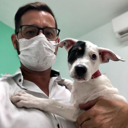 Hees Nunes Veterinaria