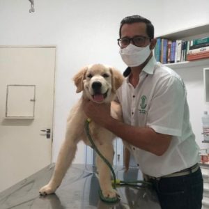 veterinario alagoas adelson leite nunes junior02 300x300