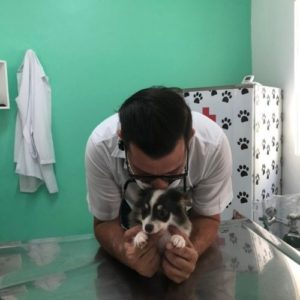 veterinario alagoas adelson leite nunes junior06 300x300