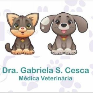 cirurgia veterinaria sao jose dos pinhais gabriela silva cesca 01 1 300x300