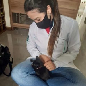 clinica geral veterinaria curitiba bruna solange gomes dos santos gato preto 2 300x300