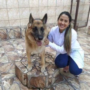 clinica geral veterinaria curitiba bruna solange gomes dos santos pastor alemao 300x300